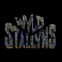 Wyld Stallyns - design