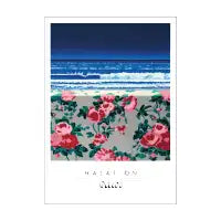 Halation - design