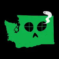 Washington Ghost Skull - design