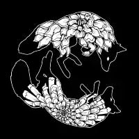 Fox Flower Spirit - Black Linework - design
