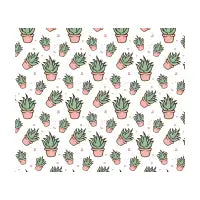 Agave Party! - design