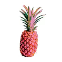 Lonely PiNK PiNeapple - design