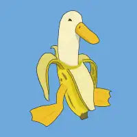 Banana Duck - design