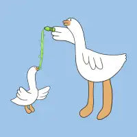 Duck Chug - design