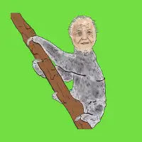 Sir Sloth - design