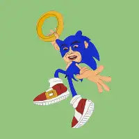 Sonic Cage - design