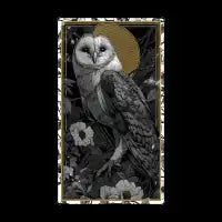 Mystic Barn Owl in Moonlight T-Shirt - design