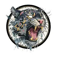 Shattered Fury - design