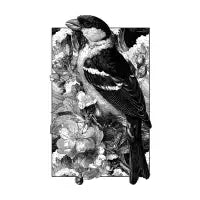 Songbird: Ocean Blossom T-Shirt - design