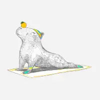 Capy yoga - design