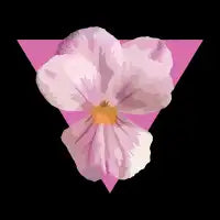 Pansy - design