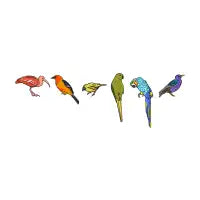Pride Plumage - design