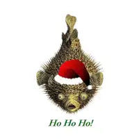 Ho Ho Fish - design