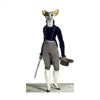 Lemur Lad - design