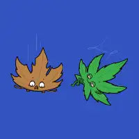 Relaxed Leaf! - design