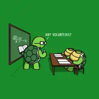 Turtle School! - design