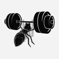 Ant Workout - design