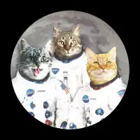 Catstronauts - design