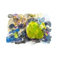 elba - design