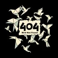 Error Bird 404 - design
