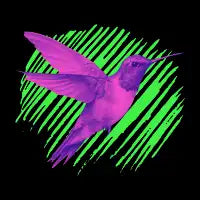 Hummingbird - design