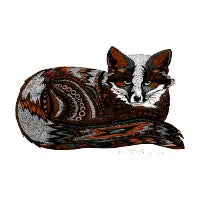 Foxy - design