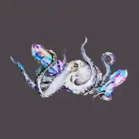 Crystal Octopus - Rainbow - design