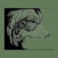 Melancholy - design