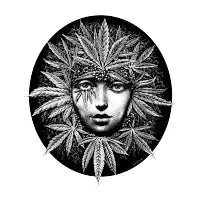Cannabis Queen II - design