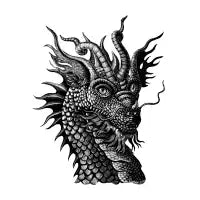 Dragon Eyes - design