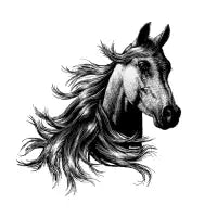Wild Horse - design