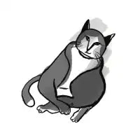 Fat cat - design