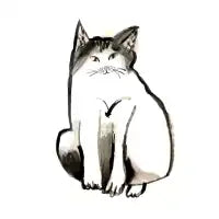 Sad kitty - design