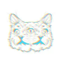 Neon Catz - design