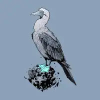Booby Bird - design