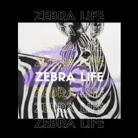 Zebra Life - design