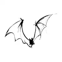 De Bat - design