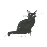Cat Doodle - design