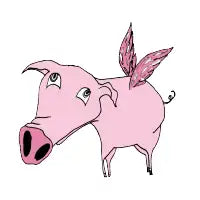 Flying Pig - design