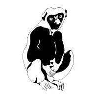 Monkey - design