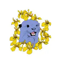 Otter & Flora - design