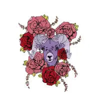 Ram&Roses - design
