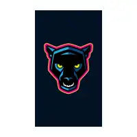Panther! Case - design
