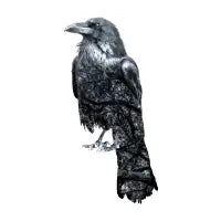 Double Exposure Crow - design