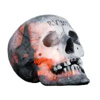 Haunted Skull - design