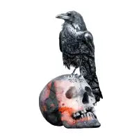 Skull & Crow Bones - design