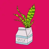 Snake Milk - design
