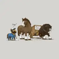 Anapony The Mighty - design