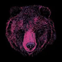Brother Bear - design