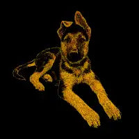 Good Puppy - design